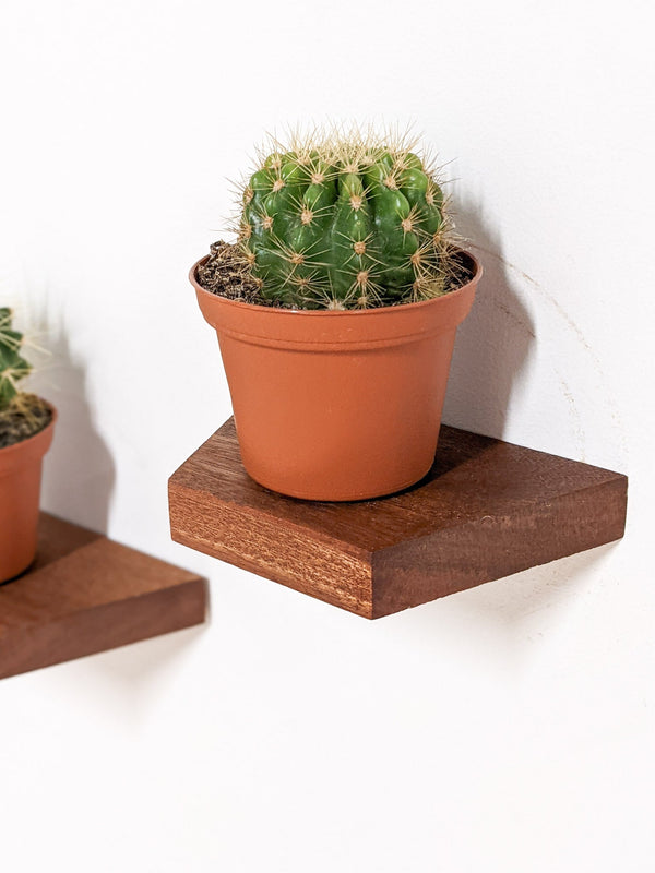 Geometric Wood Floating Shelf Set