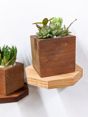 Octagon Floating Wood Display Shelf
