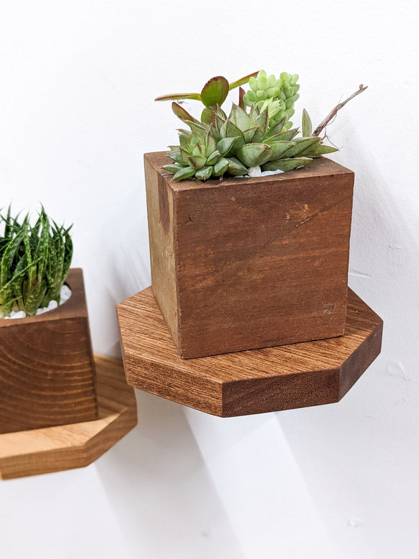 Octagon Floating Wood Display Shelf
