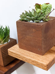 Square Solid Wood Display Shelf