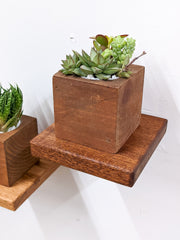 Square Solid Wood Display Shelf