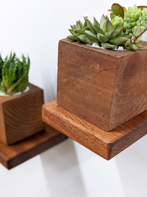 Square Wood Display Wall Shelf