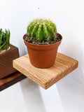 Square Solid Wood Display Shelf