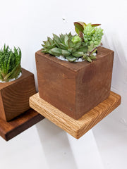 Square Wood Display Wall Shelf
