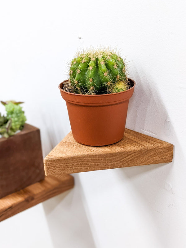 Triangle Floating Wood Display Shelf