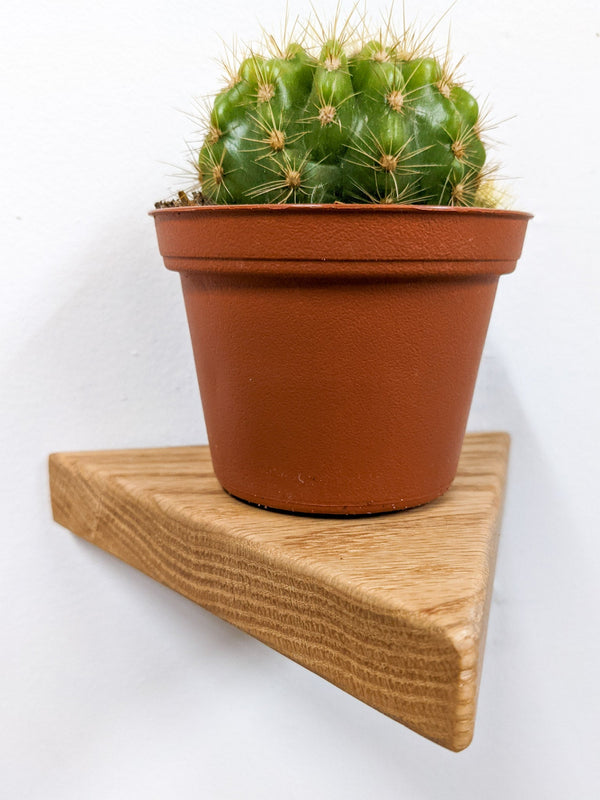 Triangle Floating Wood Display Shelf