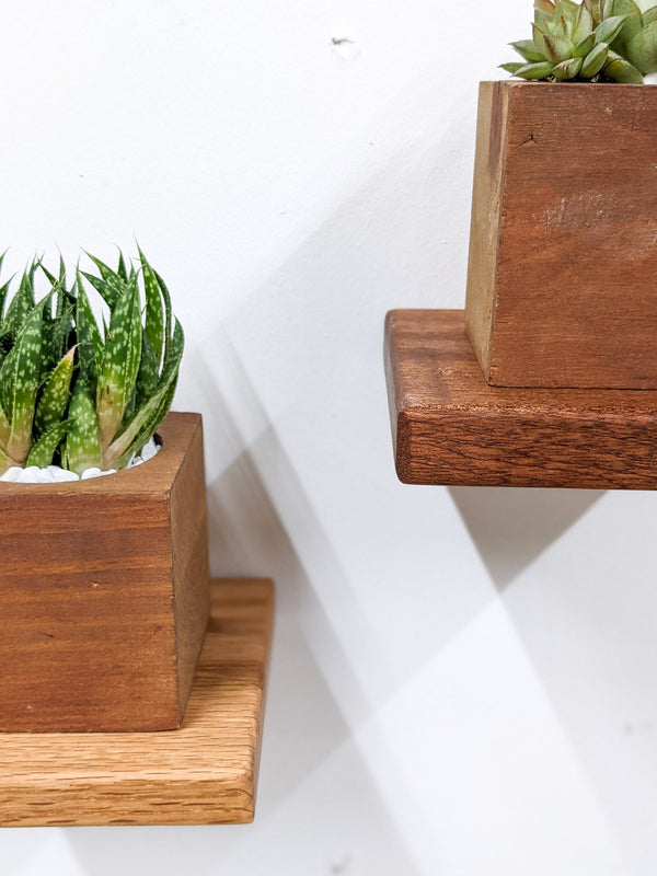 Square Wood Display Wall Shelf