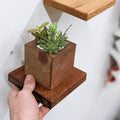Square Wood Display Wall Shelf
