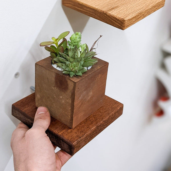 Square Wood Display Wall Shelf