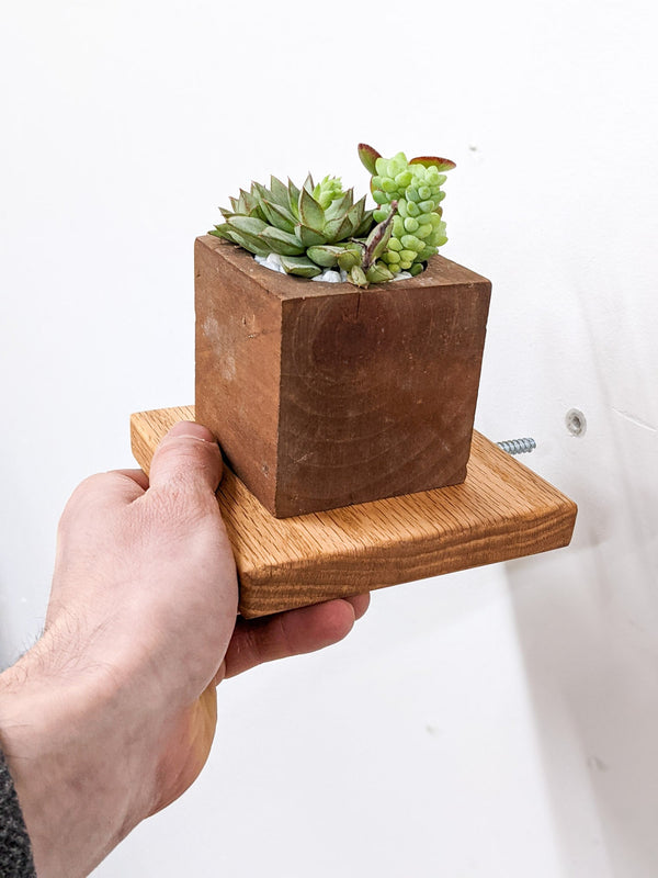 Square Solid Wood Display Shelf