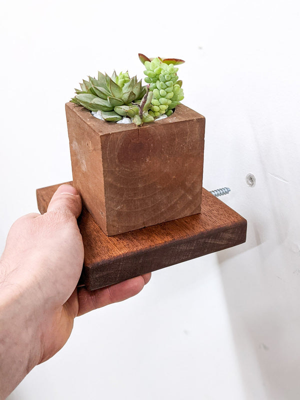 Square Wood Display Wall Shelf