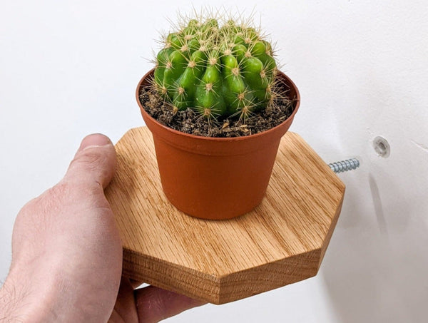 Octagon Floating Wood Display Shelf