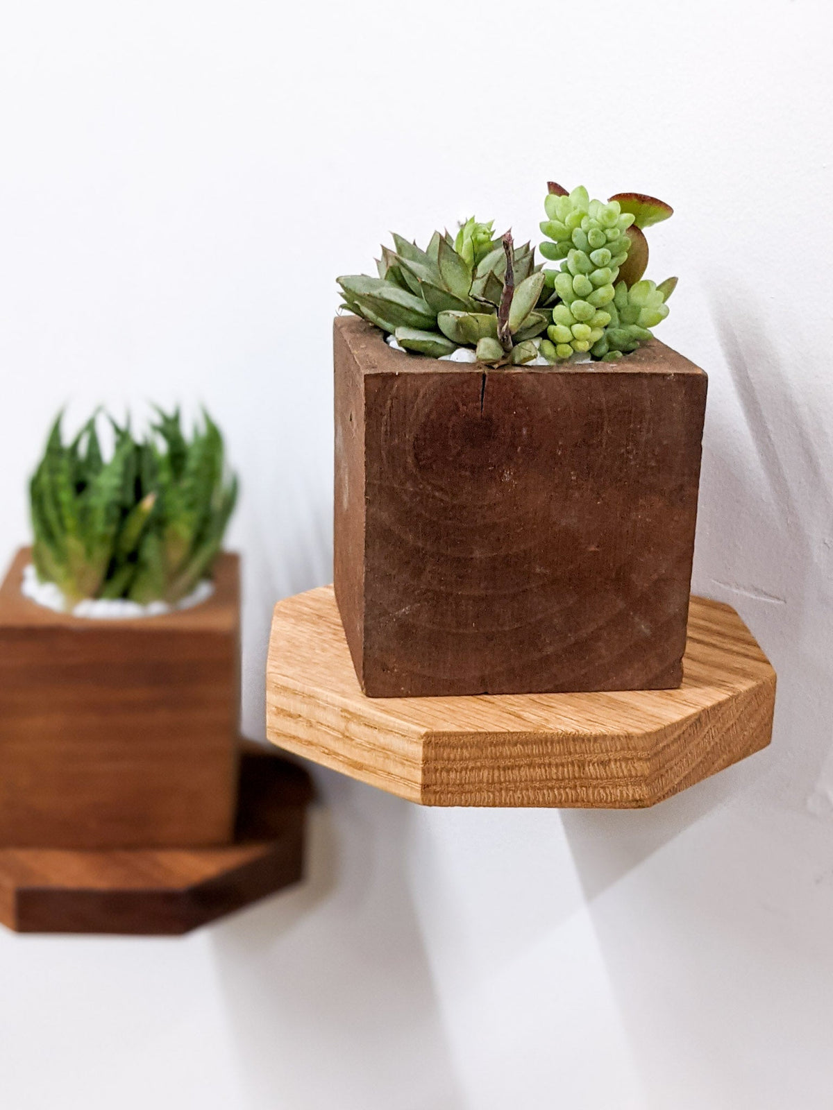 One geometric shelf for the things worth noticing