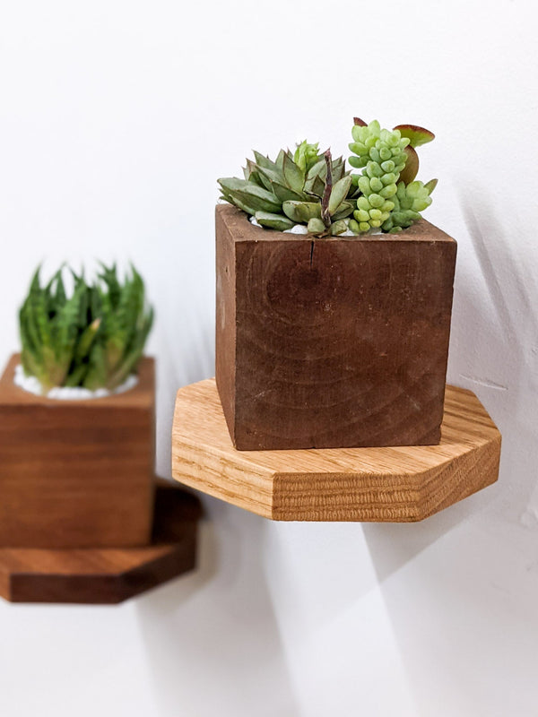 Octagon Floating Wood Display Shelf