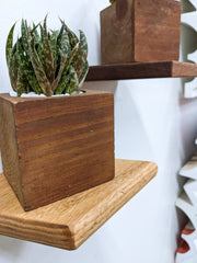 Geometric Hardwood Rhombus Wall Shelf