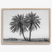 Black & White Desert Palms Art Print
