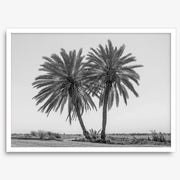 Black & White Desert Palms Art Print