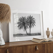 Black & White Desert Palms Art Print