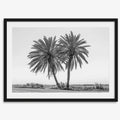Black & White Desert Palms Art Print