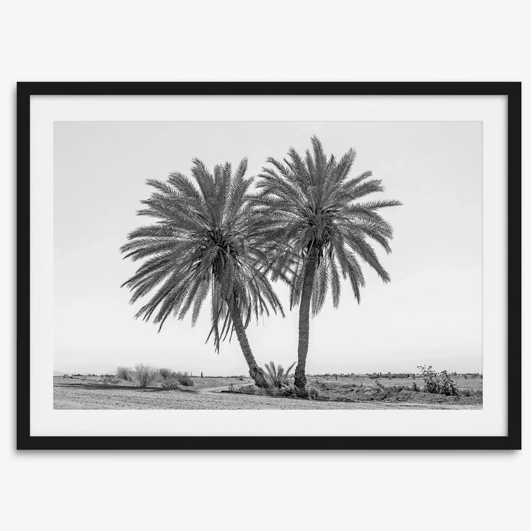 Black & White Desert Palms Art Print