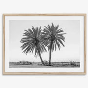 Black & White Desert Palms Art Print
