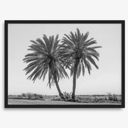 Black & White Desert Palms Art Print