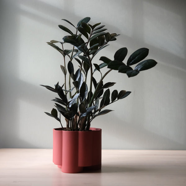 Pillar Planter — scale reference and proportion detail