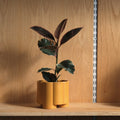 Pillar Planter — The Pillar Planter is defined by its sculptural presence, with extended legs that lift the
