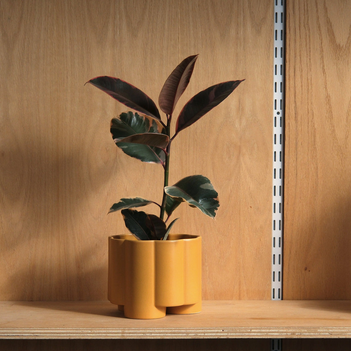 Pillar Planter — The Pillar Planter is defined by its sculptural presence, with extended legs that lift the