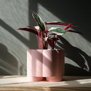 Pillar Planter — alternate size option with plant styling
