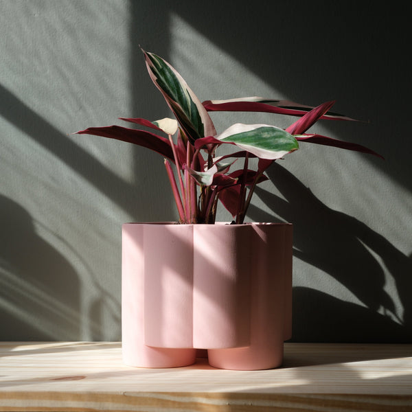 Pillar Planter — alternate size option with plant styling