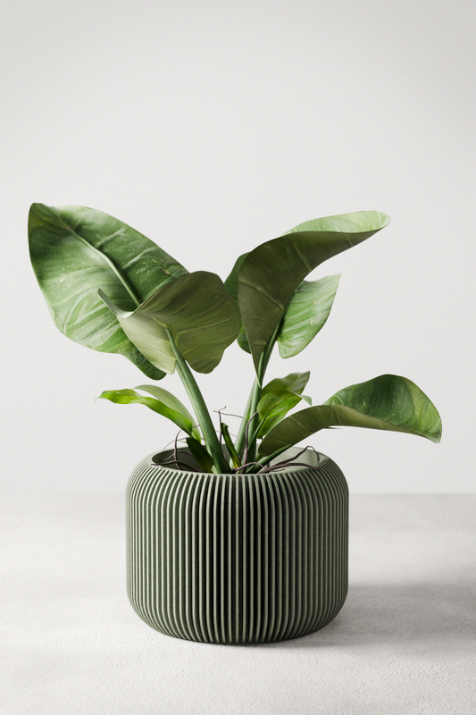 Orbis Planter-0