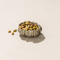 Micro Terrazzo Coral Trinket Dish — Rippled coral-form catchall in speckled micro terrazzo, six colorways