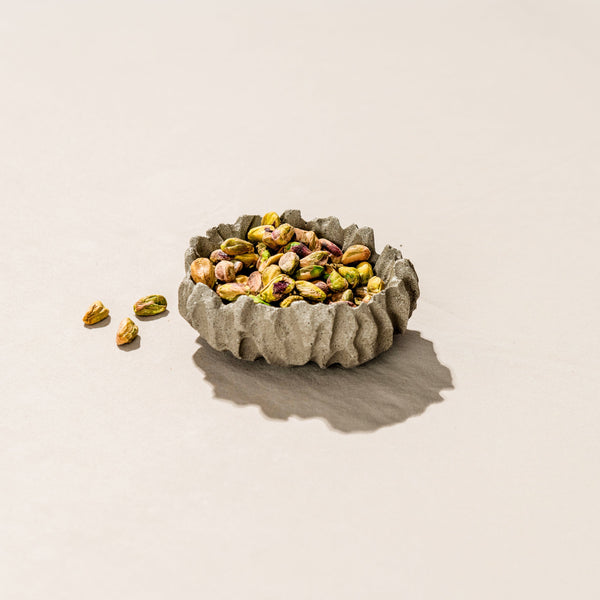 Micro Terrazzo Coral Trinket Dish — Rippled coral-form catchall in speckled micro terrazzo, six colorways