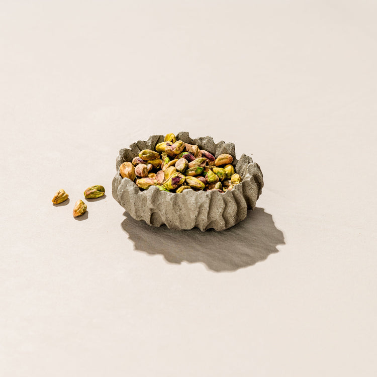 Micro Terrazzo Coral Trinket Dish — Rippled coral-form catchall in speckled micro terrazzo, six colorways