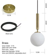Frosted Glass Globe Pendant Light