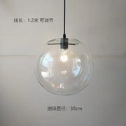 Clear Glass Globe Pendant Light