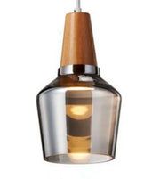 Tinted Glass Wood-Canopy Pendant Light