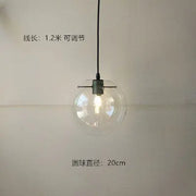 Clear Glass Globe Pendant Light