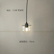 Clear Glass Globe Pendant Light