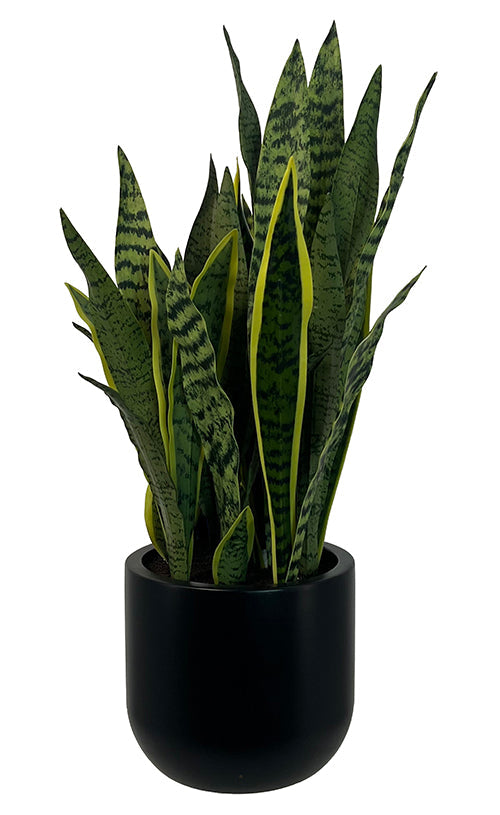 30-Inch Faux Snake Plant in Matte Black Planter