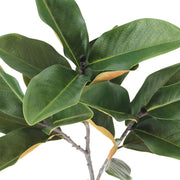 Faux Green Magnolia Leaf Stems Set