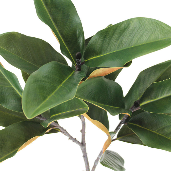 Two green Faux Green Magnolia Leaf Stems Set stems with yellow-green veining