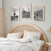 Black-and-White Saguaro Desert Print Set