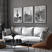 Black-and-White Saguaro Desert Print Set