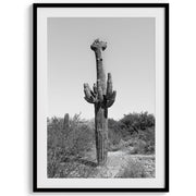 Black-and-White Saguaro Desert Print Set