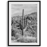 Black-and-White Saguaro Desert Print Set