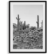 Black-and-White Saguaro Desert Print Set