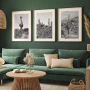 Black-and-White Saguaro Desert Print Set