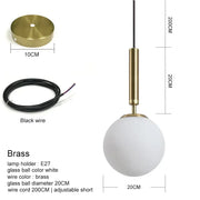 Frosted Glass Globe Pendant Light